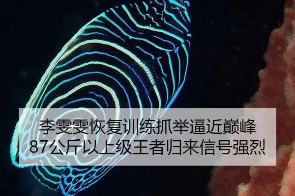 李雯雯恢复训练抓举逼近巅峰 87公斤以上级王者归来信号强烈