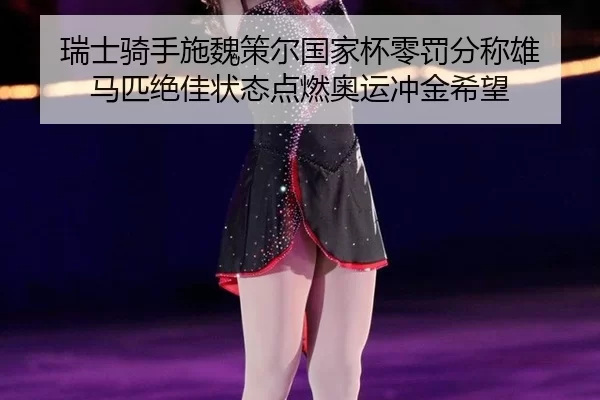rui-shi-qi-shou-shi-wei-ce-er-guo-jia-bei-ling-fa-fen-cheng-xiong-ma-pi-jue-jia-zhuang-tai-dian-ran-ao-yun-chong-jin-xi-2-105.jpg